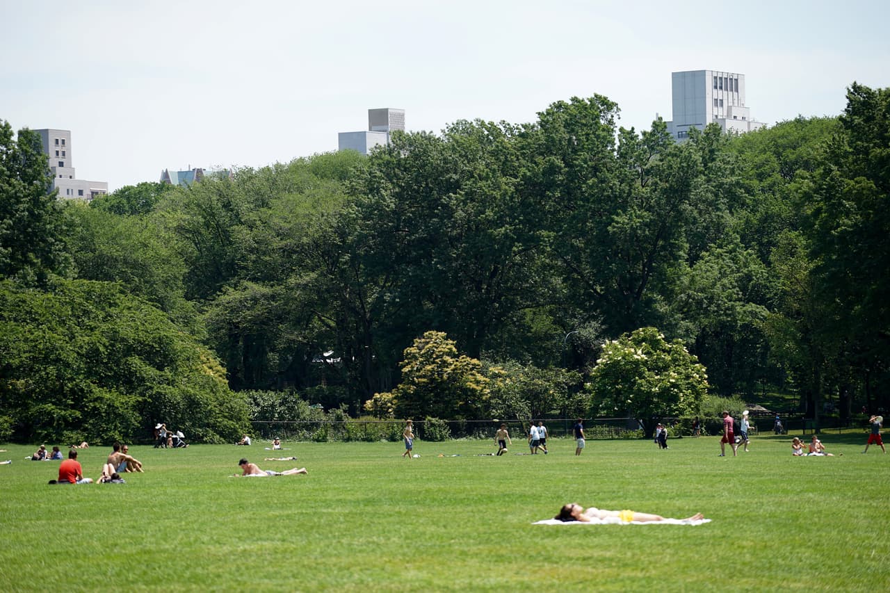En el "Sheep Meadow", en Central Park, ya los visitantes toman el sol.