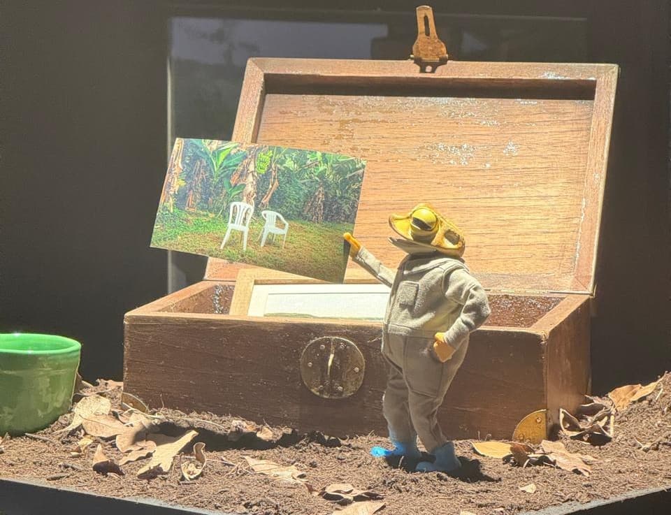 ¿Cómo el reguetón está ayudando a salvar una especie en extinción? El sapo concho tiene una respuesta