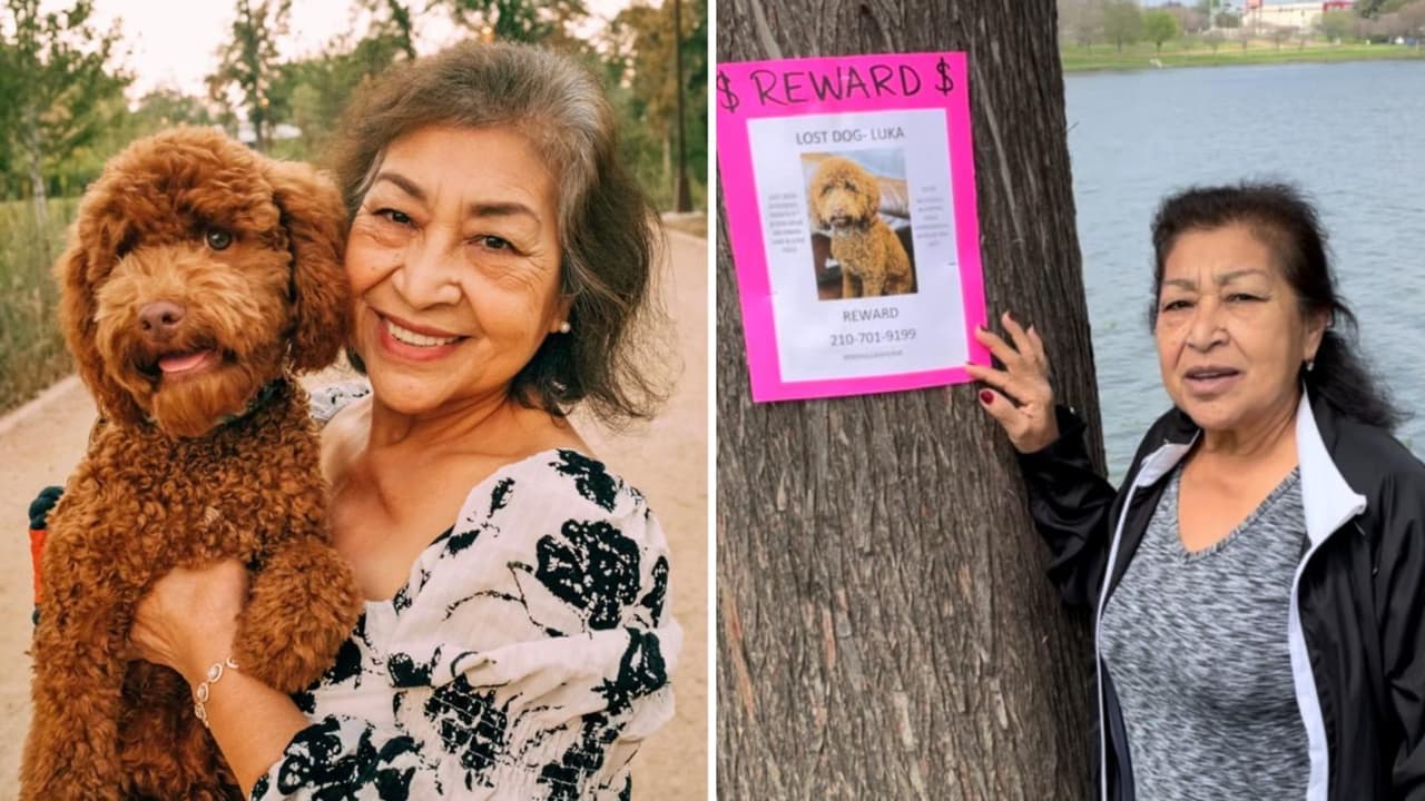 “Él me sacó de la depresión”: mujer viaja para buscar a su perro que desapareció en un lago en Dallas