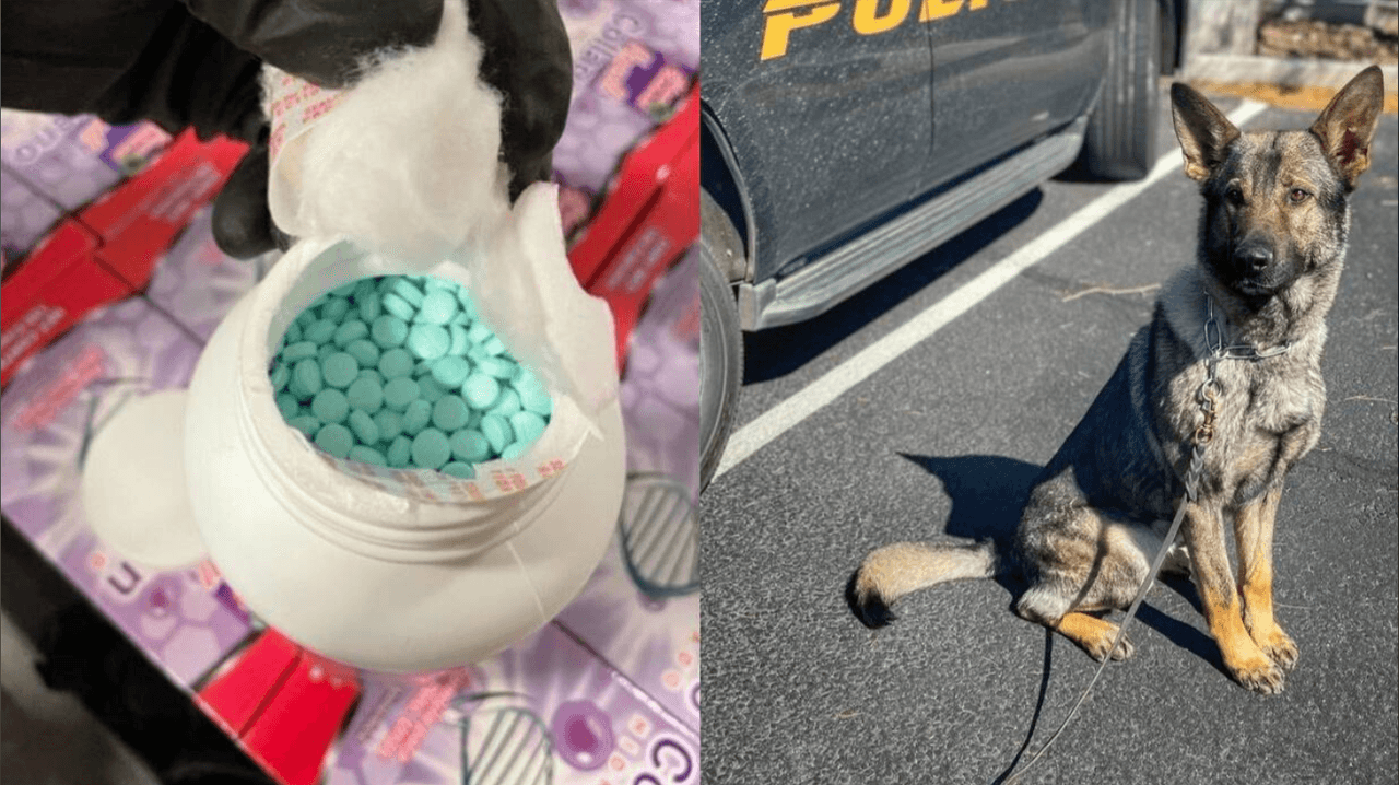 Perro de la policía de Casa Grande es clave en el hallazgo de 500,000 píldoras de fentanilo: hay dos detenidas