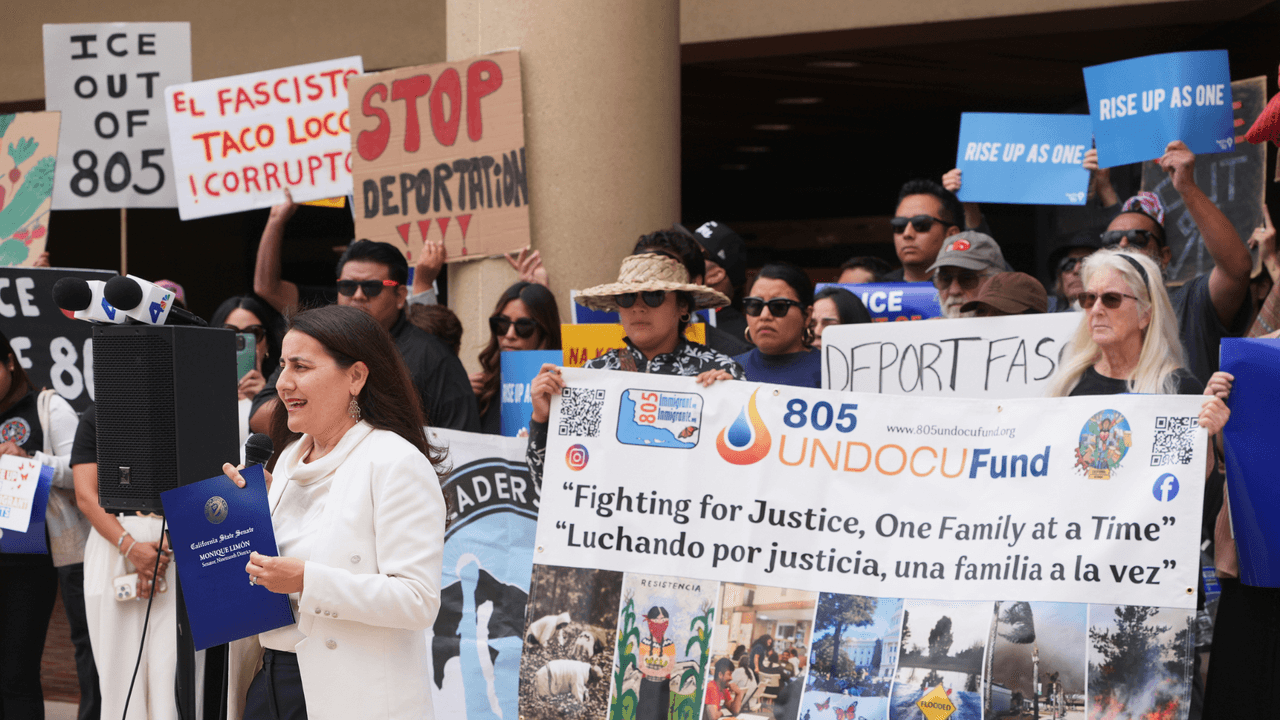 Cómo se preparan en el área de Houston ante las protestas No Kings Day de EEUU