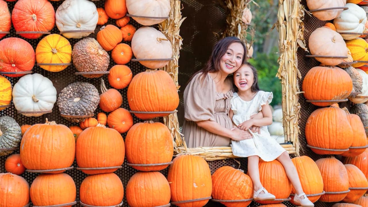<h3 class="cms-H3-H3">1. Dallas Arboretum: más de 100,000 calabazas</h3> Del 19 de septiembre al 1 de noviembre, el Dallas Arboretum presenta Autumn at the Arboretum, su tradicional exhibición otoñal
<b>con más de 100,000 calabazas.</b>
<br>El recorrido incluye
<b> seis casas temáticas decoradas en homenaje a artistas como Piet Mondrian y Jackson Pollock, </b>ideales para fotos creativas.
<br>💰 Entrada:
<b>$21.95 (adultos) de lunes a jueves; $25.95 de viernes a domingo.</b>
<br>🚙 Estacionamiento: $15 por vehículo.
<br>📍 Dirección:
<a href="https://maps.app.goo.gl/c8oHvxShcyz8ibmAA" target="_blank">8525 Garland Road, Dallas</a>
<br>
<br>
<h3 class="cms-H3-H3">2. Pumpkin Nights: calabazas iluminadas en Arlington</h3> A partir del 17 de septiembre y hasta el 31 de octubre, Howell Farms en Arlington recibe Pumpkin Nights,
<b>un recorrido nocturno de media milla con nueve áreas temáticas iluminadas y esculturas hechas completamente de calabazas.</b>
<br>💰 Entrada:
<b><a href="https://pumpkinnights.tscheckout.com/" target="_blank">los boletos deben comprarse por internet con anticipación; el precio varía según disponibilidad</a></b>
<br>🚙 Estacionamiento: $10 por vehículo.
<br>📍 Dirección:
<a href="https://maps.app.goo.gl/PvqVnyj9Wvn1cTgC9" target="_blank">4016 W. Division St., Arlington</a>
