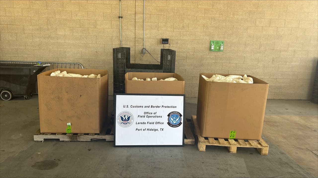CBP decomisa casi $15 millones en metanfetamina oculta en un cargamento de apio en Texas