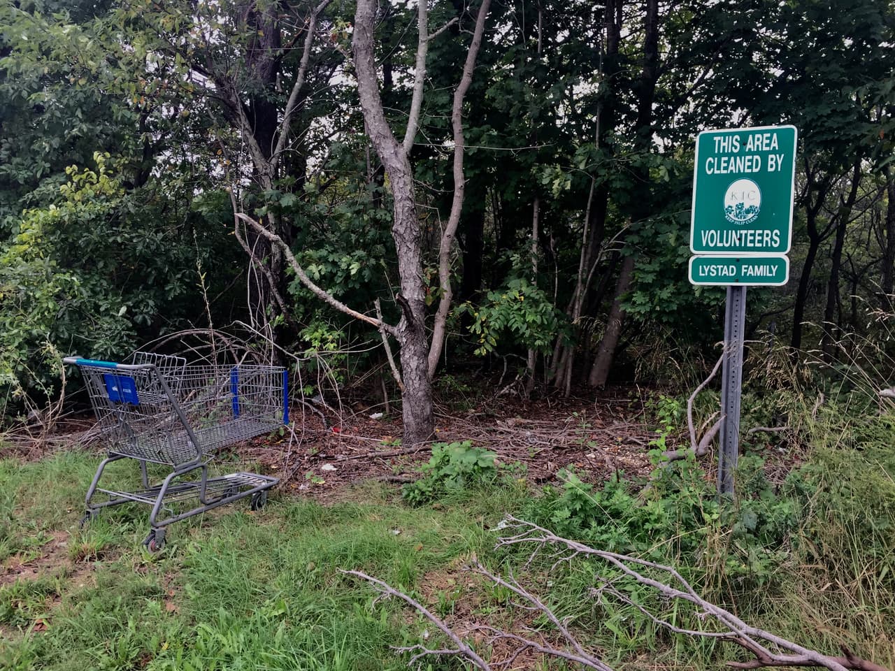 Cerca de la que fue vivienda del estudiante Miguel García hay un espacio con bastantes árboles, en el cual algunos vecinos denuncian que los jóvenes estudiantes se reúnen con frecuencia.