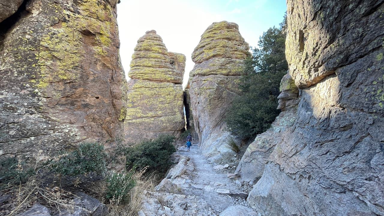 El Monumento Nacional Chiricahua está ubicado aproximadamente a 36 millas (58 km) al sureste de Willcox, Arizona. Conserva los restos de una inmensa erupción volcánica que sacudió la región hace unos 27 millones de años.