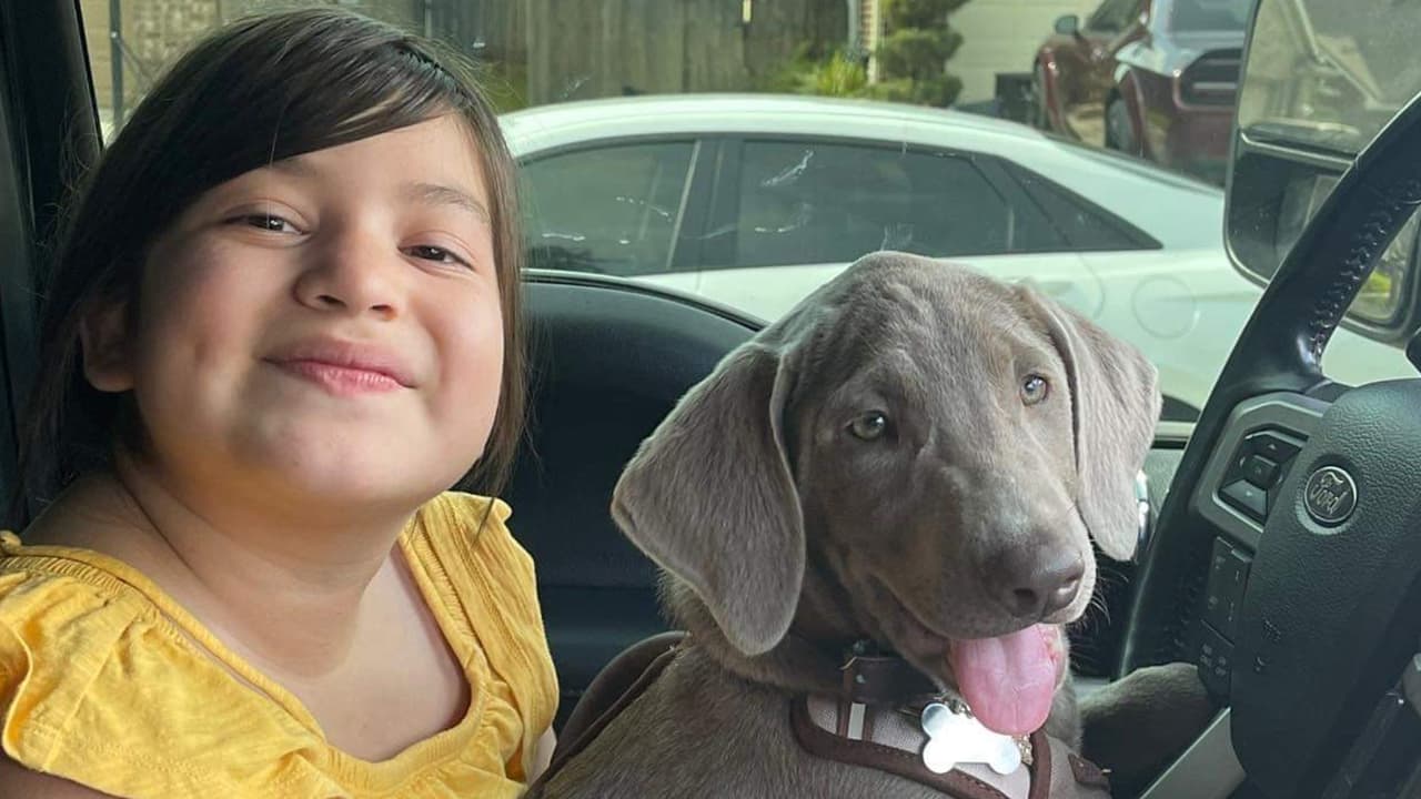 La muerte de niños: la consecuencia más terrible del aumento de la violencia armada en Houston