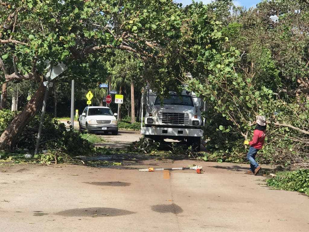 Clean up began quickly in Key Biscayne amd power was also restored on Monday.
