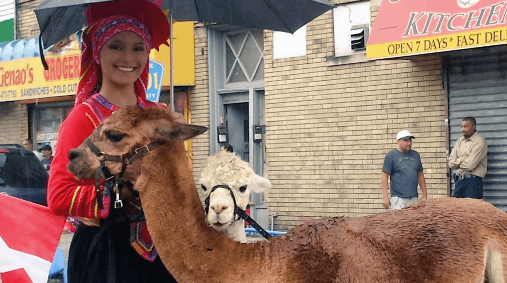 Una hermosa peruana desfiló con las reinas de los Andes, las llamas.