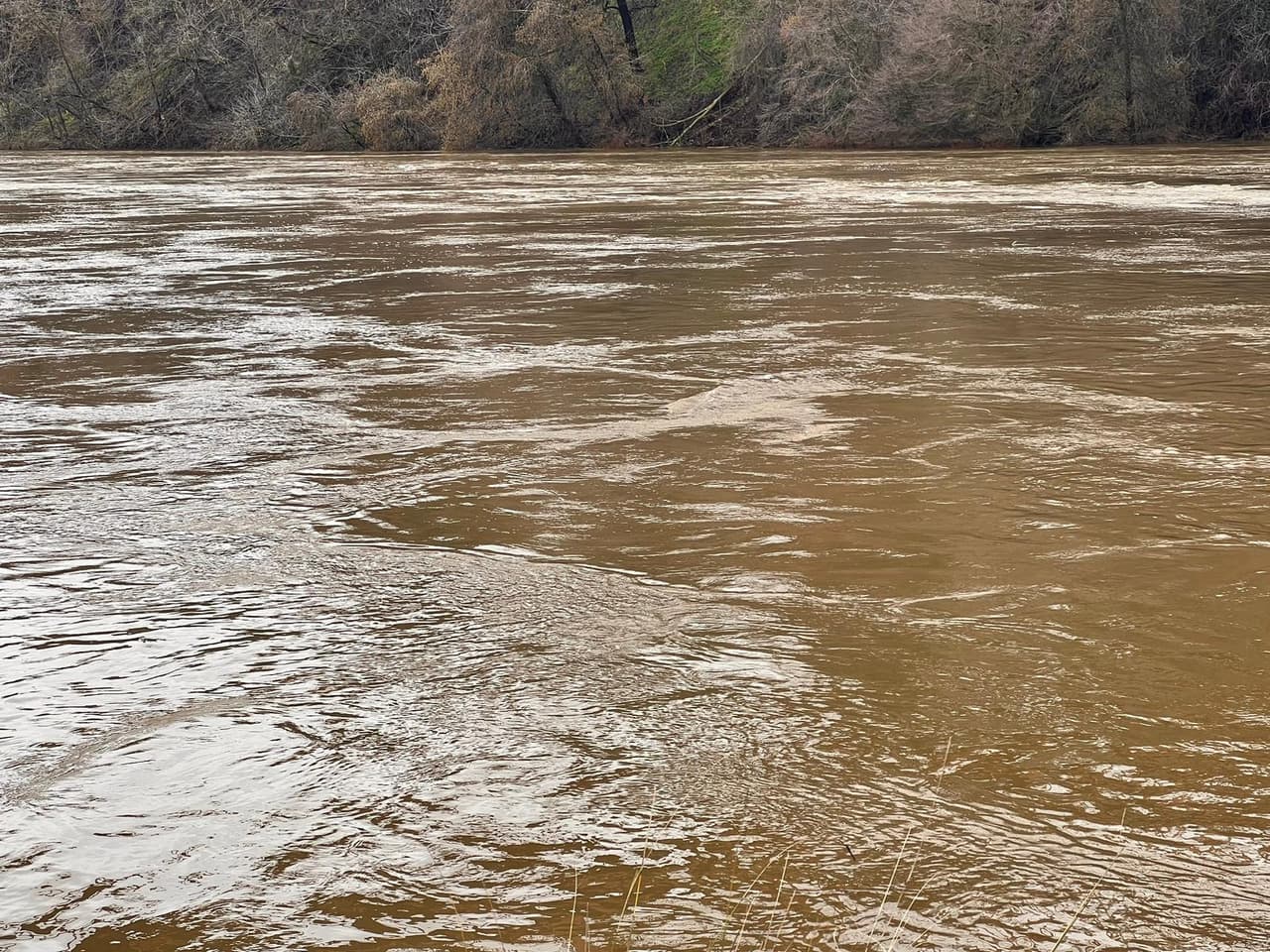 El Servicio Meteorológico Nacional emitió una alerta de
<b>lluvias torrenciales, tormentas eléctricas y un aviso de tornado</b> durante la madrugada de este martes, que afectaba varias zonas en los condados de Sacramento y San Joaquín, hacia el área de Modesto. Las precipitaciones podrían provocar nuevas inundaciones en el transcurso del día.