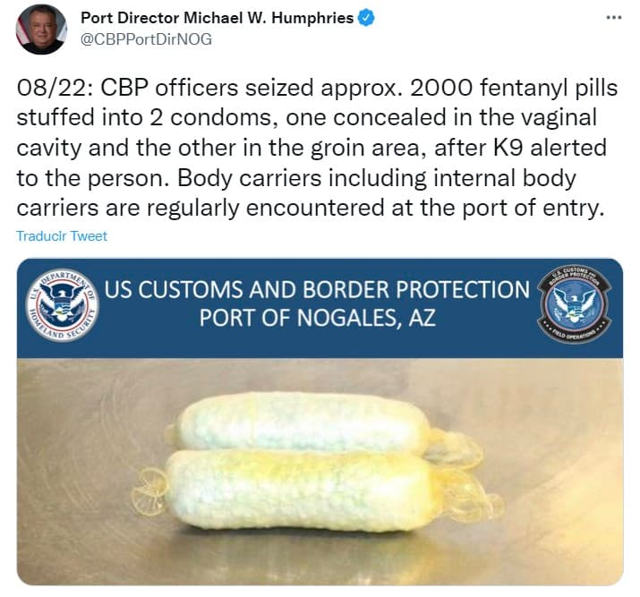 Información del hallazgo en el puerto de Nogales.