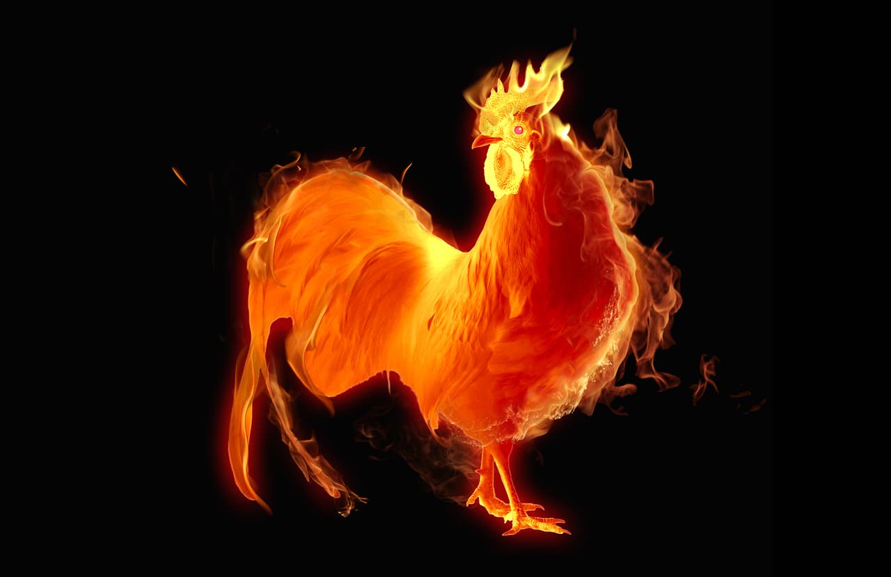 ¡Hay fiesta en millones de hogares y centros de trabajo en China, Vietnam, Corea y muchos otros países que se disponen celebrar “Al Año del Gallo de Fuego” un tiempo alegre como el mismo canto del gallo! Este año comienza a regir el 28 de enero con el primer novilunio del año.