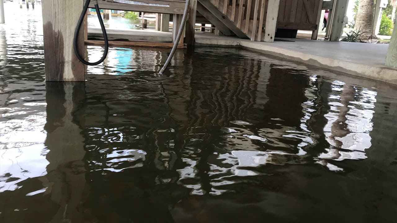<b>La ciudad de Galveston</b> emitió una orden de evacuación voluntaria por la
<b><a href="https://www.univision.com/temas/tormentas-tropicales">tormenta tropical</a></b> Beta para los residentes de
<b>la isla </b>que entró en vigor el sábado 19 de septiembre, a partir de las 10:00 am.
