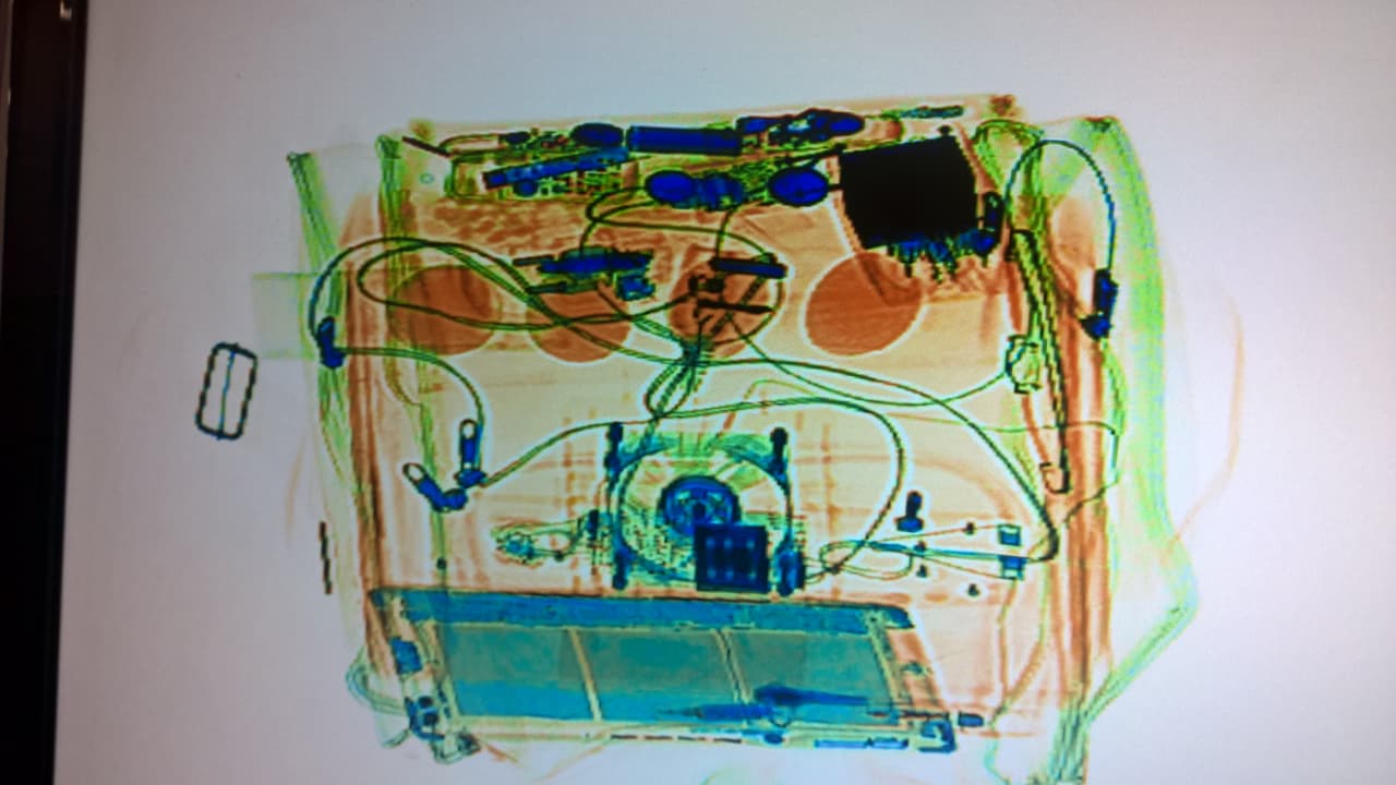 Imagen del escáner del aeropuerto de Sao Paulo donde se notan huevos de halcón.