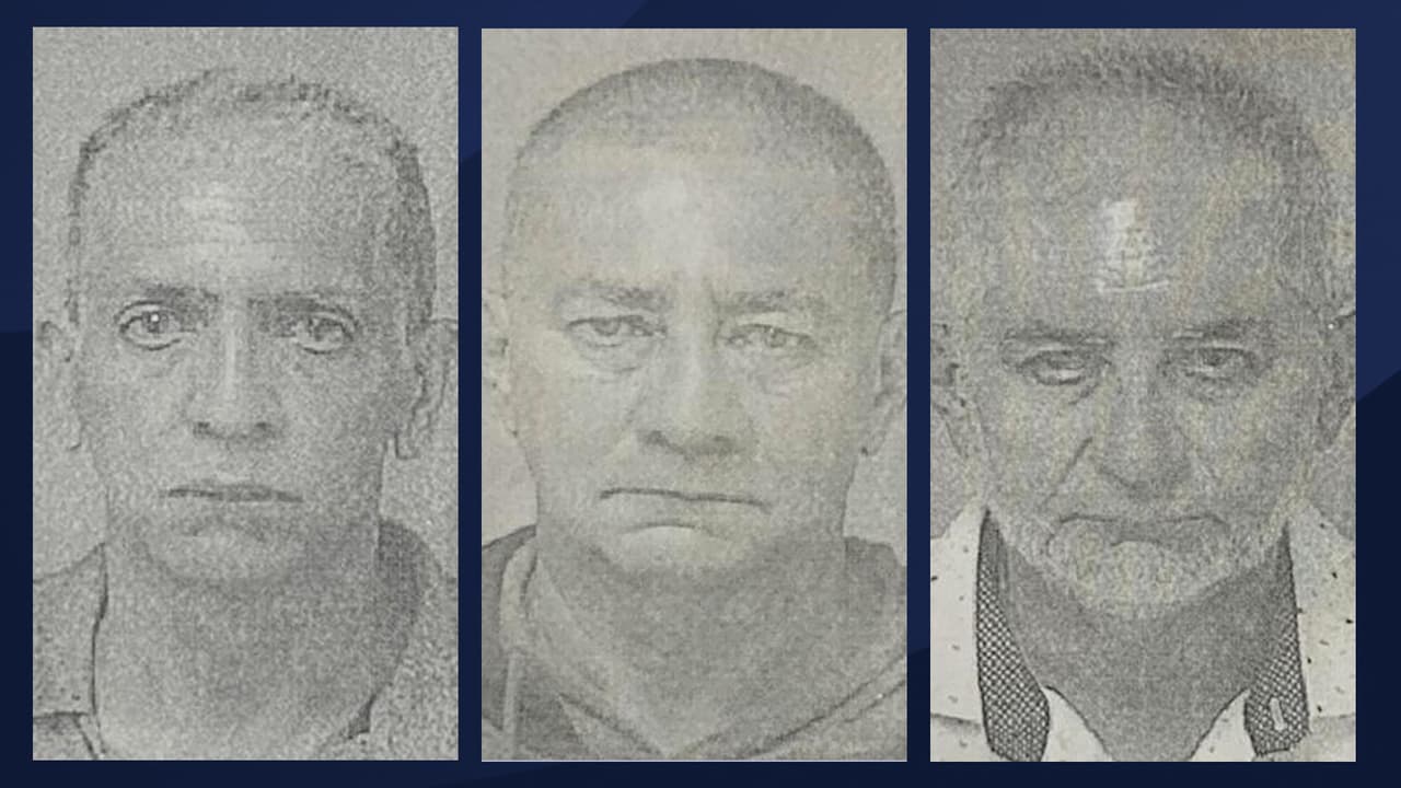 En libertad bajo fianza hermanos que colgaron a una perra en Maunabo