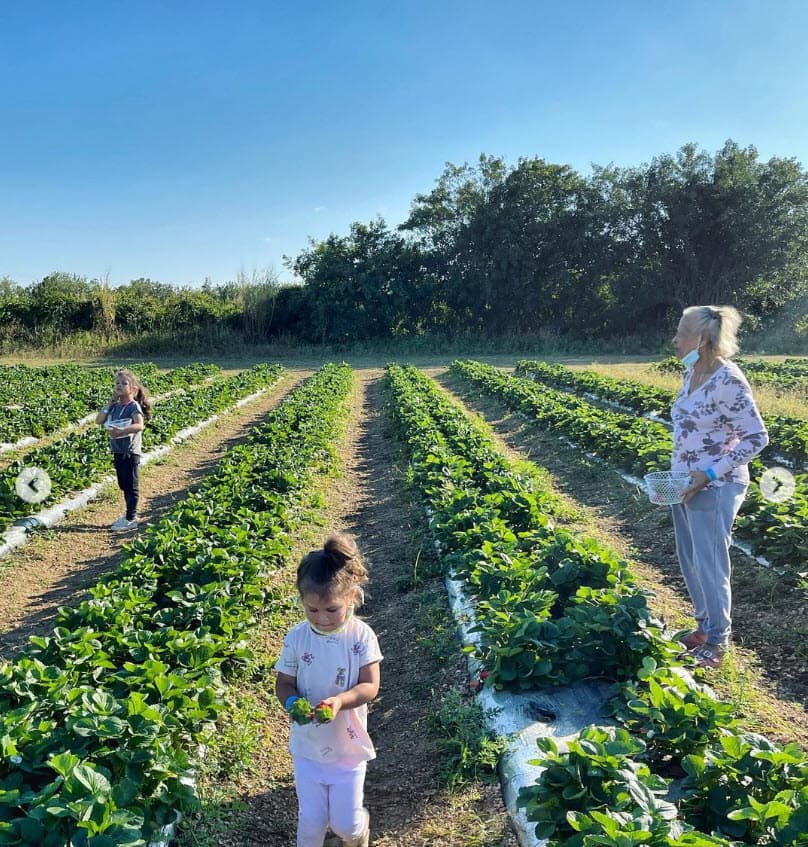 "No creas que no nos damos cuenta de
<b><a href="https://www.instagram.com/p/CKtpp86gGMf/?utm_source=ig_embed" target="_blank"> todas las batallas que has librado por nosotros</a></b>. Y aunque te dejen un par de rasguños, tu sonrisa al final sigue siendo la misma. ¡Te amo madre!", escribió el chef.
<br>