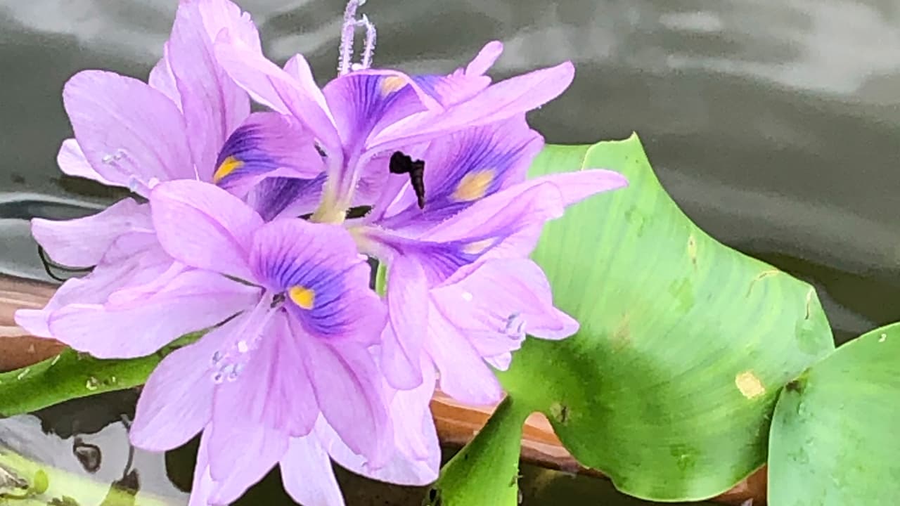 Mira y admira: no pierdas los detalles de este bello paisaje marino.