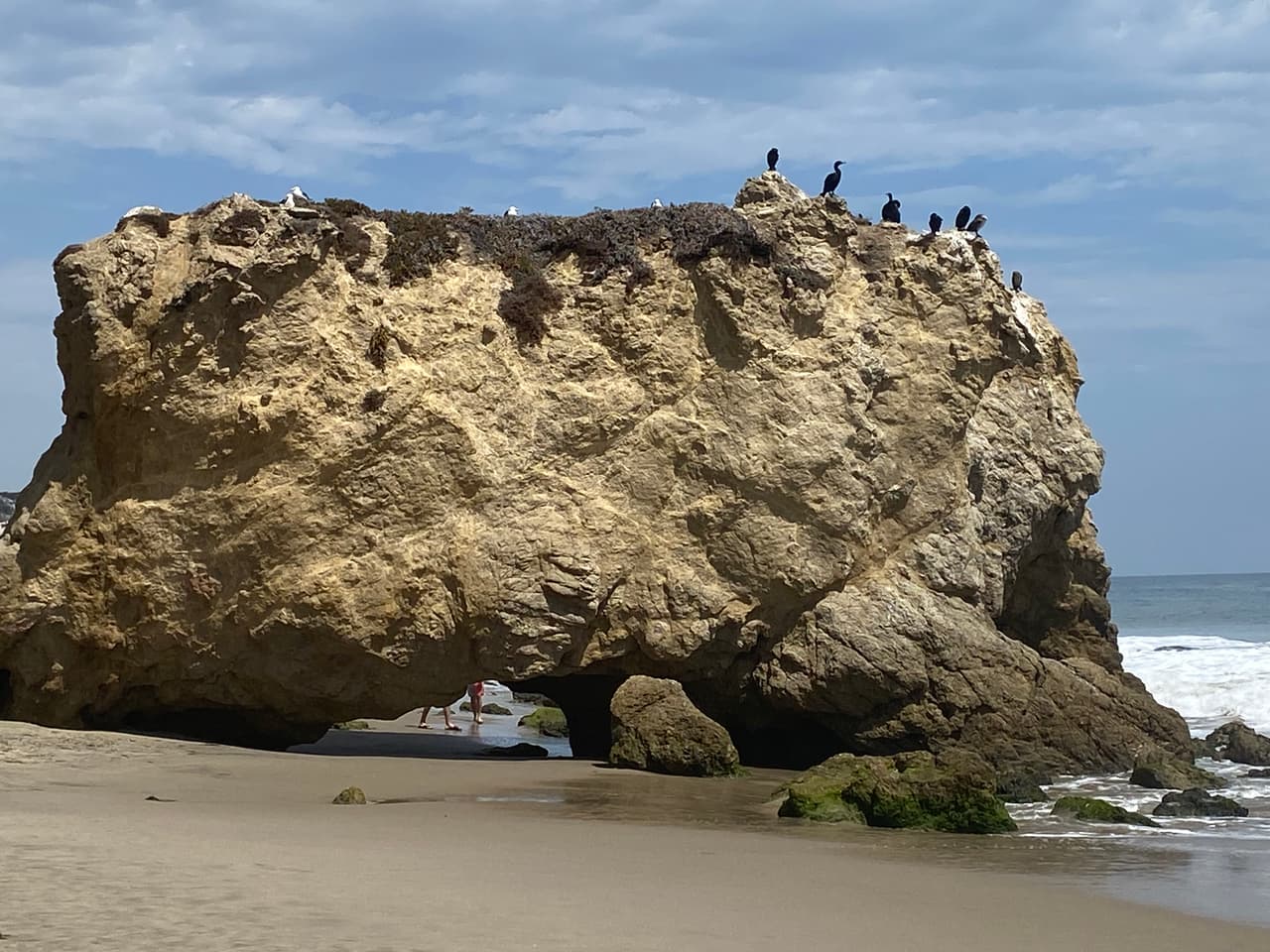 Son varias las esculturas naturales de gran tamaño en las que podrás desde tomarte una foto y hasta descubrir nuevos ecosistemas naturales.