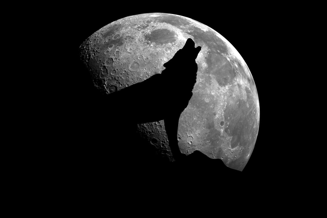 ¡Prepárate para la "luna del lobo" y te asombrarás lo que recibes! Existe una creencia muy arraigada entre los pueblos algonquinos que habitan gran parte de Estados Unidos, Canadá y ciertas regiones de México que consiste en llamar a la primera luna llena del año la "luna del lobo".