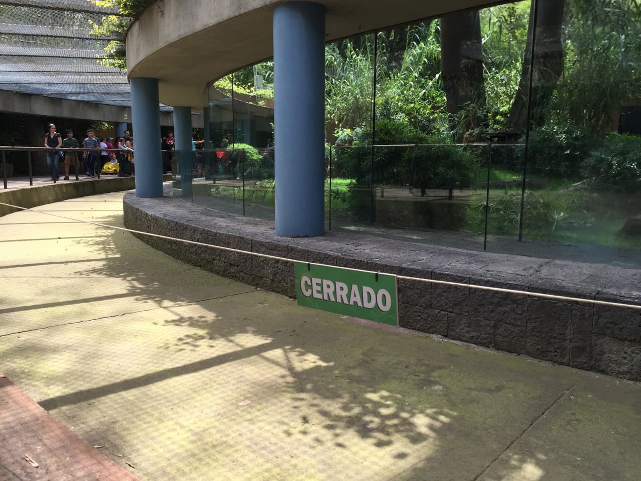 La muerte del gorila Bantú, el escándalo que destapó las irregularidades en el zoológico de Chapultepec