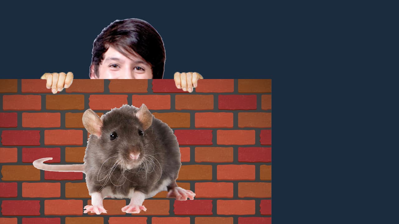 ¡Ahhhh! Christopher pierde el control al encontrarse a una rata.