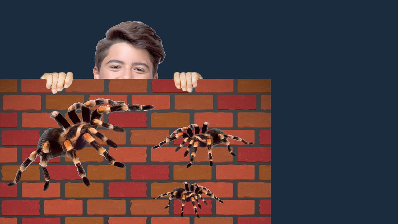 No hay dinero suficiente en el mundo que motive a Jaime a coger una araña.