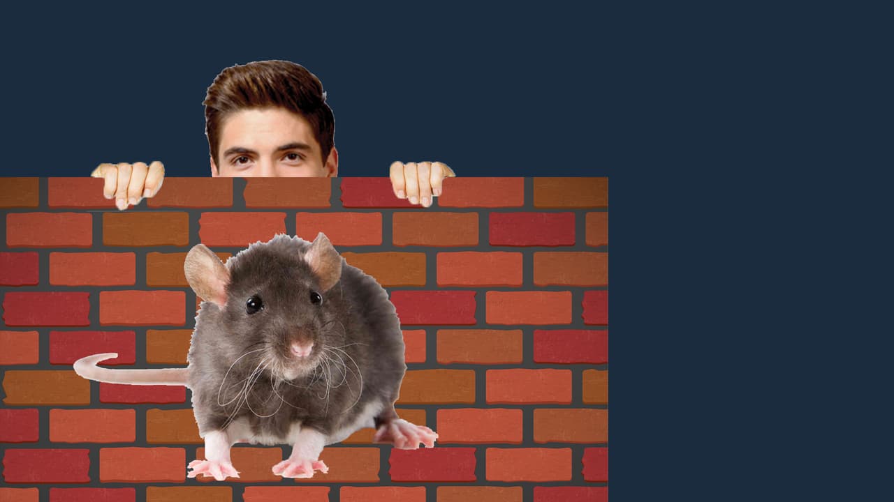 Johann no soporta ver una rata. Al igual que él, su mamá grita de tan solo ver una cercana.