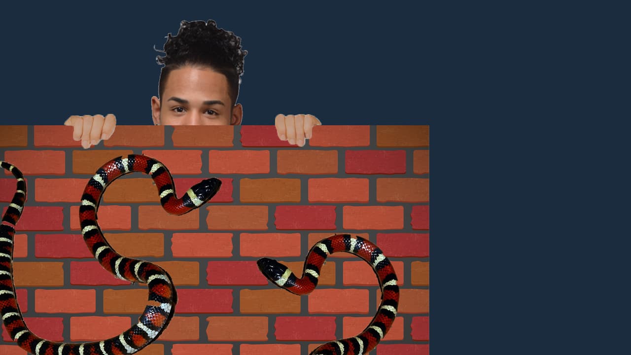 Richard y las culebras son enemigos. Se vuelve loco con sólo ver una.