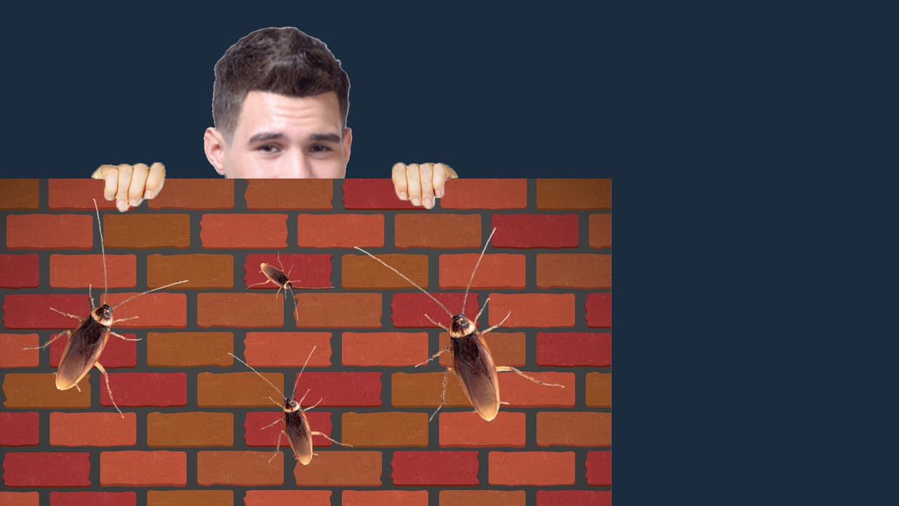 ¡Qué asco! Si hay algo que le pone los pelos de punta a Zabdiel son las cucarachas y más si son las voladoras.