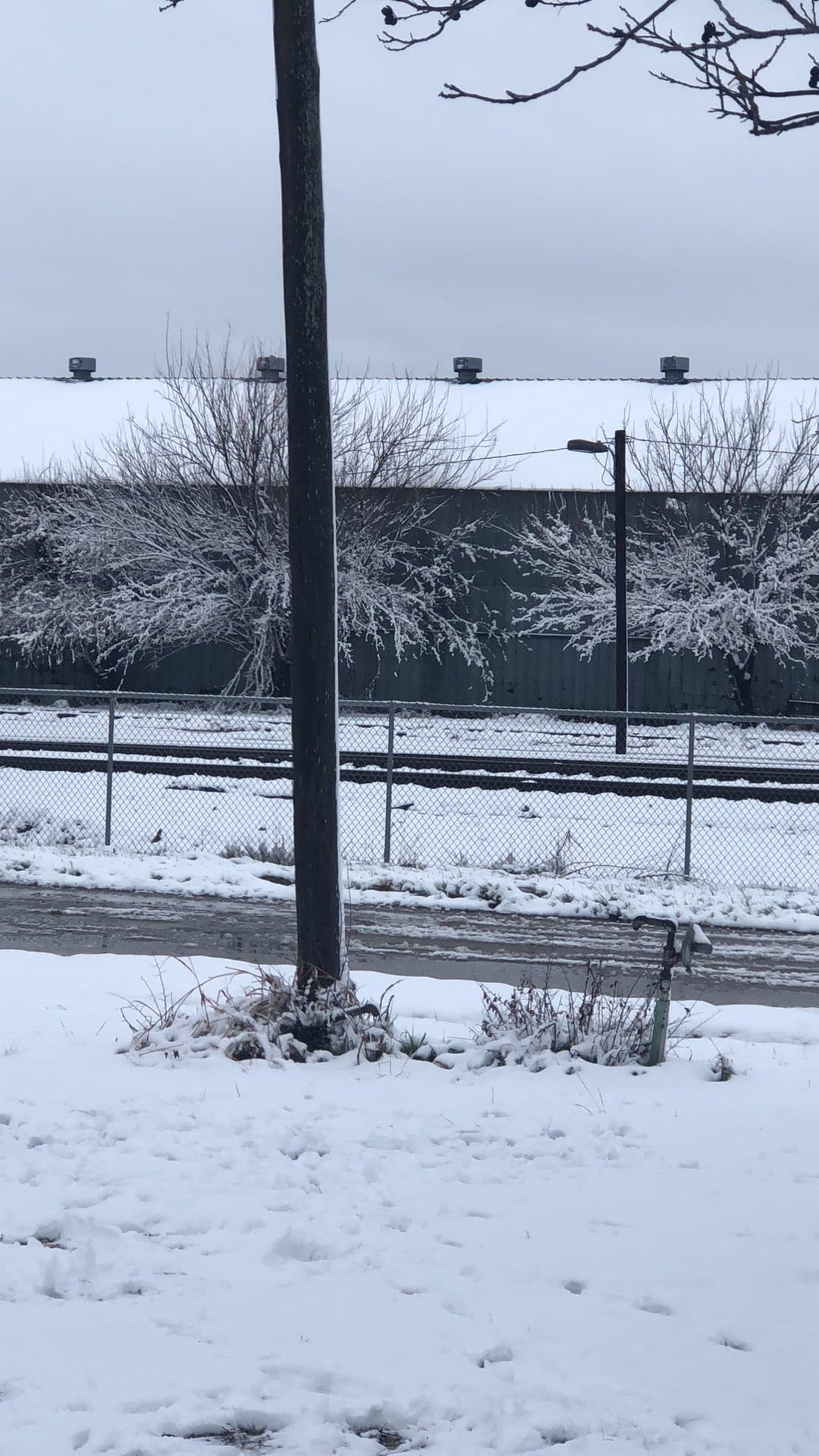 ¿Cuándo caerá nieve en su área? Le tenemos la información con nuestro equipo de meteorólogas.