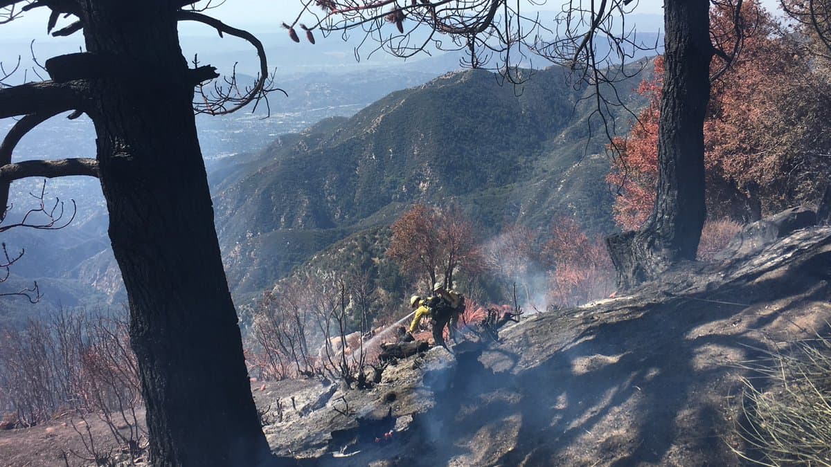 Encuentran el cuerpo calcinado de un joven en la zona del incendio en Mount Wilson