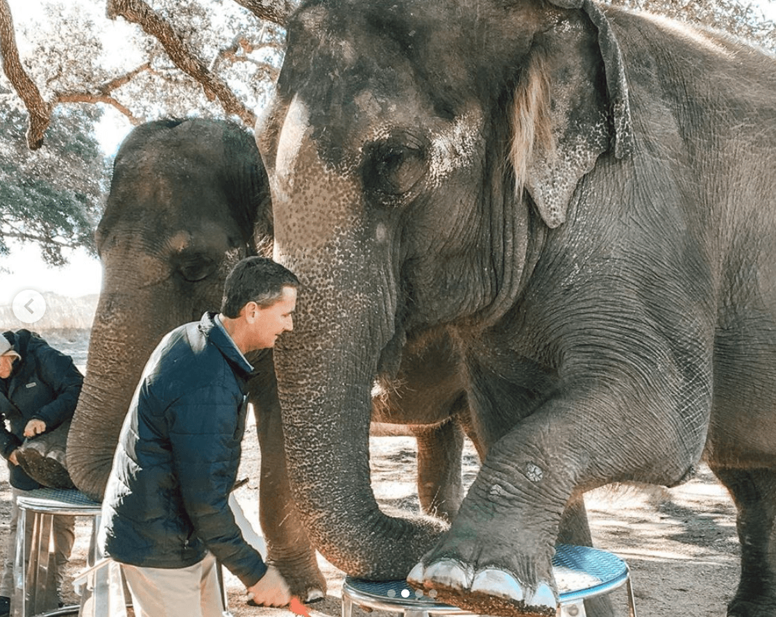 The Preserve es un santuario de elefantes que se dedica a ampliar la educación, el conocimiento y la conservación de los elefantes por medio de la interacción directa con los paquidermo.