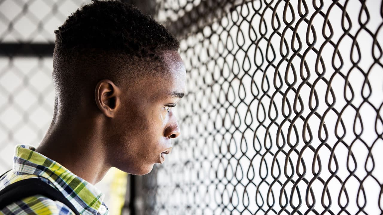 <b>MEJOR PELÍCULA</b>
<br>Nueve cintas lograron colarse este año entre la selección:
<br>“Arrival”
<br>“Fences”
<br>“Hacksaw Ridge”
<br>“Hell or High Water”
<br>“Hidden Figures”
<br>“La La Land”
<br>“Lion”
<br>“Manchester by the Sea”
<br>“Moonlight”