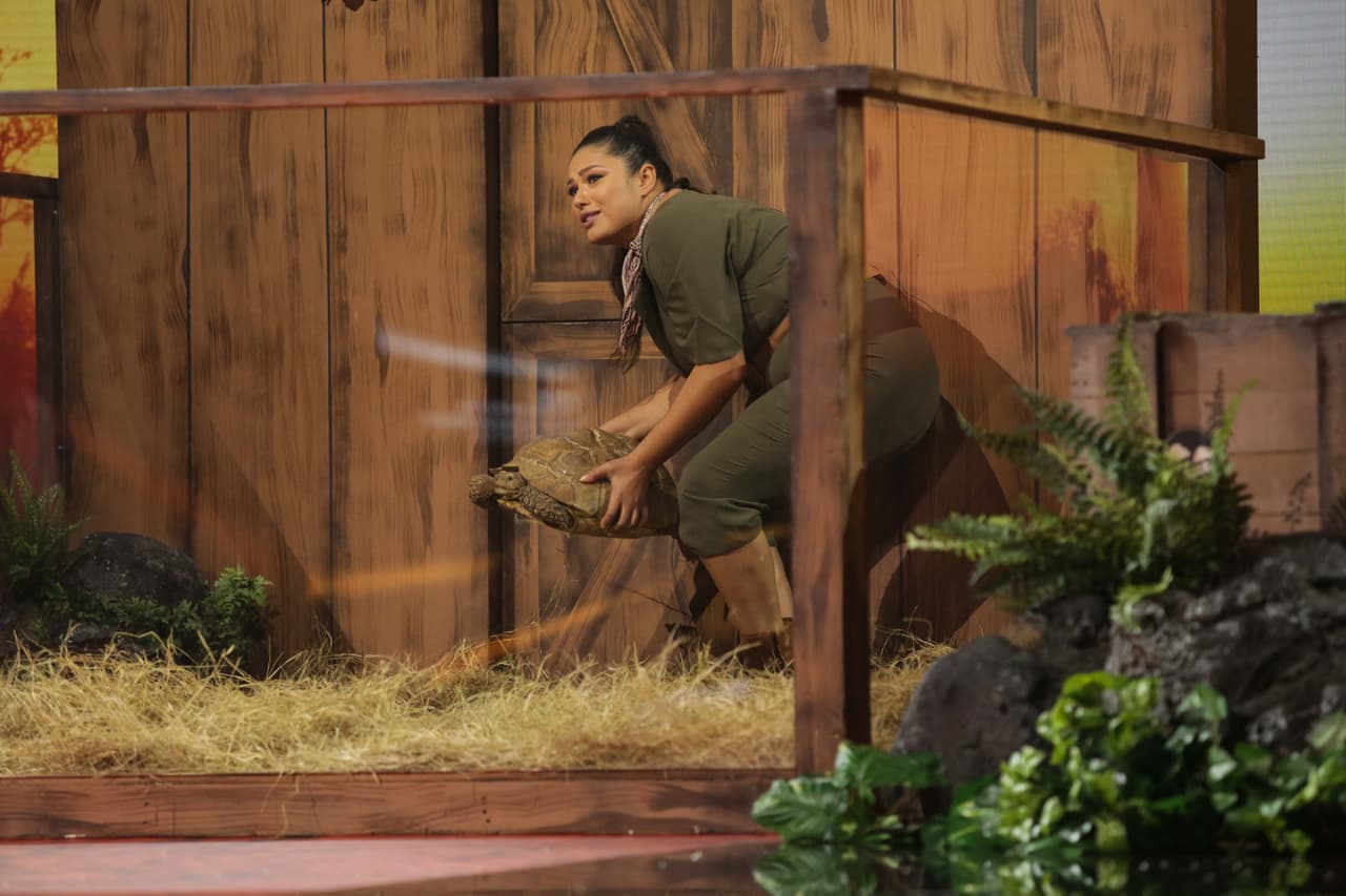 Parece que estaba un tanto pesada.