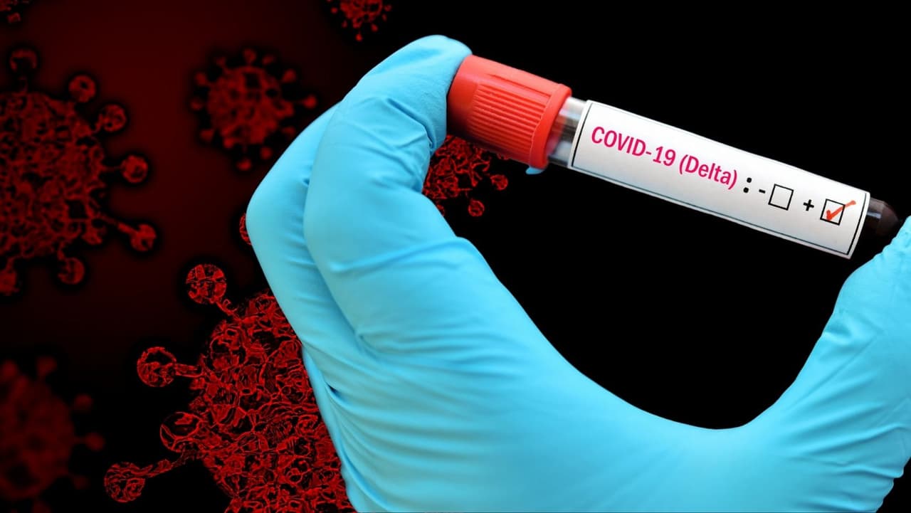 El código postal con el índice de riesgo de contagio más alto es:
<b><a href="https://covid-analytics-pccinnovation.hub.arcgis.com/" target="_blank">75228</a></b>
<a href="https://covid-analytics-pccinnovation.hub.arcgis.com/" target="_blank"> al este de Dallas.</a>
<br>