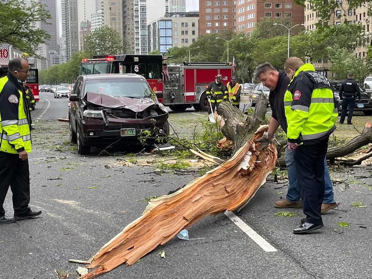 Una persona sufrió heridas, el viernes en la tarde, cuando un gran árbol cayó en cerca de 1400 en Lake Shore Drive entre la calle Division y North Avenue.