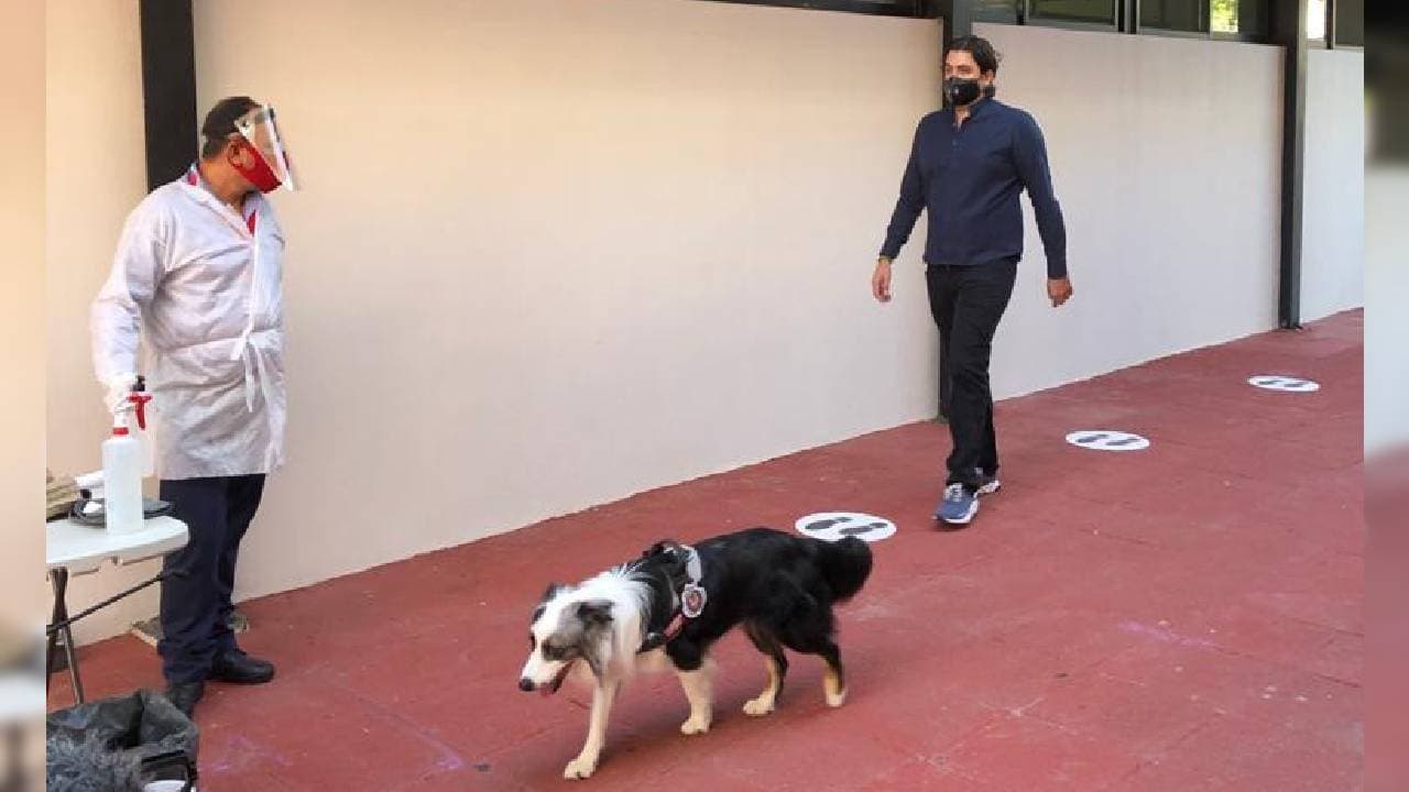 Realizaron pruebas para la detección del coronavirus a jugadores del primer equipo varonil, cuerpo técnico, staff y directiva.