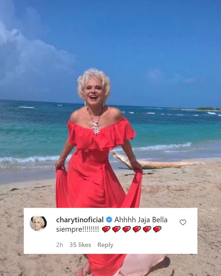 La fotografía causó gracia en la presentadora Charytin Goyco.