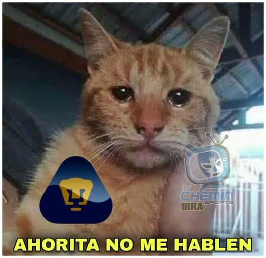 Los Pumas salen dañados por los memes luego de perder la final del futbol mexicano con un globalde 3-1 a favor del León.