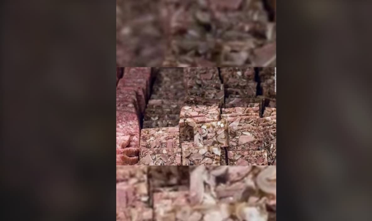 Gelatina de nariz de alce.