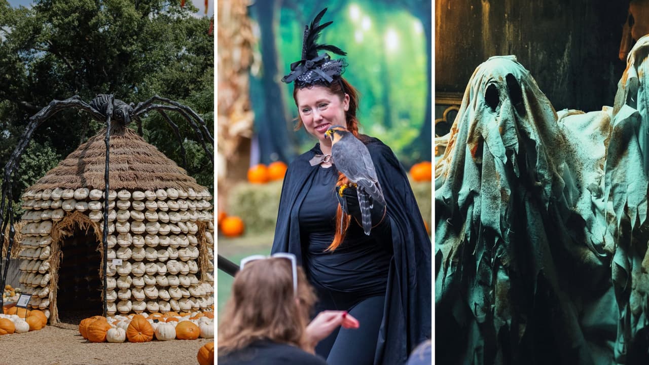 De casas embrujadas a paseos en tren: 5 lugares para celebrar Halloween en Dallas-Fort Worth.