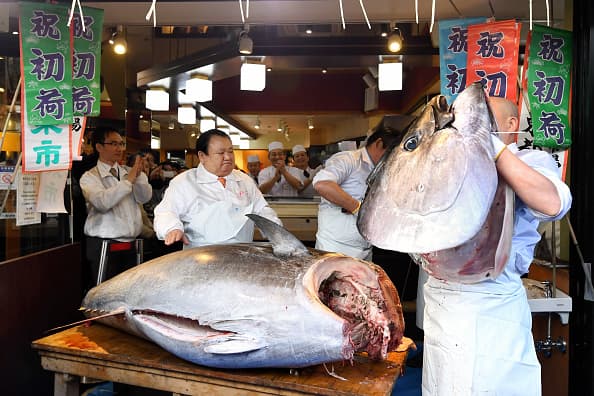 El ejemplar pesó 276 kilos