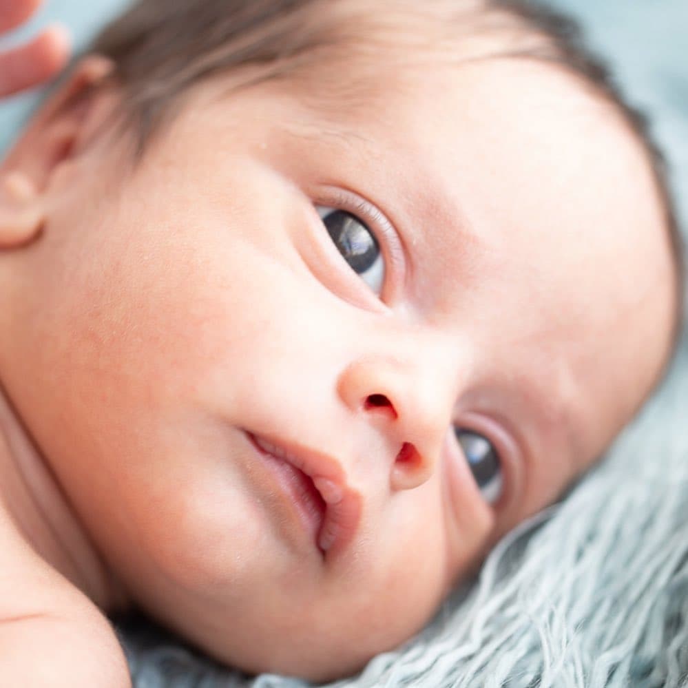 La muerte de Dante no solo trajo dolor al interior de su familia, sino también una
<b> <a href="https://www.univision.com/famosos/ferdinando-valencia-denuncia-inaccion-de-la-anda-aun-debe-88-506-dolares-al-hospital-donde-murio-dante-fotos" target="_blank">deuda que oscila alrededor de 88,500 dólares</a></b>, correspondientes a los gastos por la atención médica que el actor y su pareja le brindaron a su hijo.
<br>