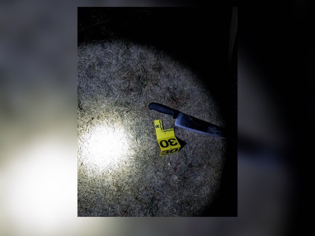 Policías de Chicago balean mortalmente a hombre por supuestamente atacarlos con un cuchillo de carnicero