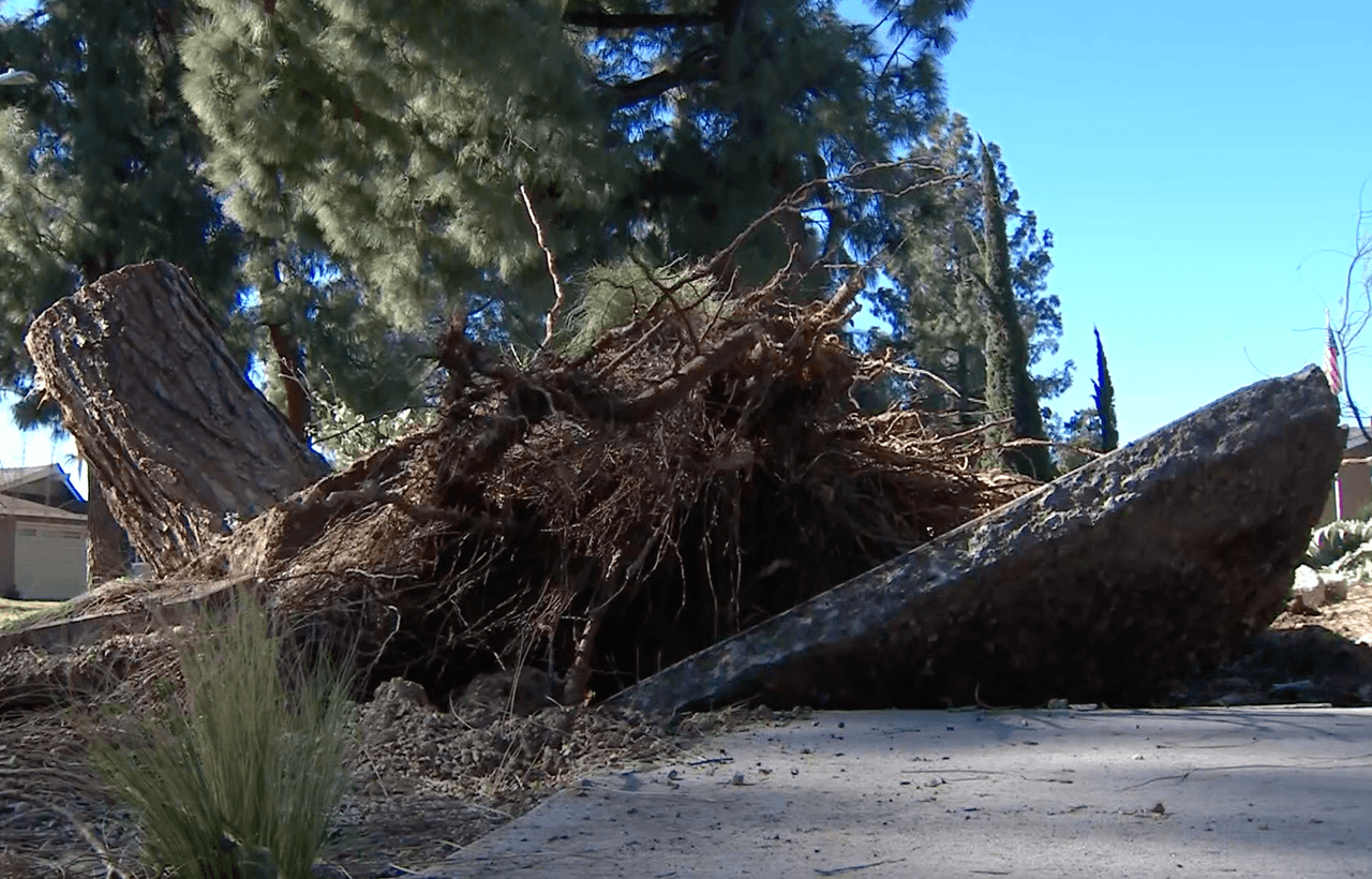 Un centro de refugio se activó en el Centro Alexander Hughes en 1700 Danbury Road se mantiene abierto para residentes que necesiten agua, refugio y recargar teléfonos y dispositivos.