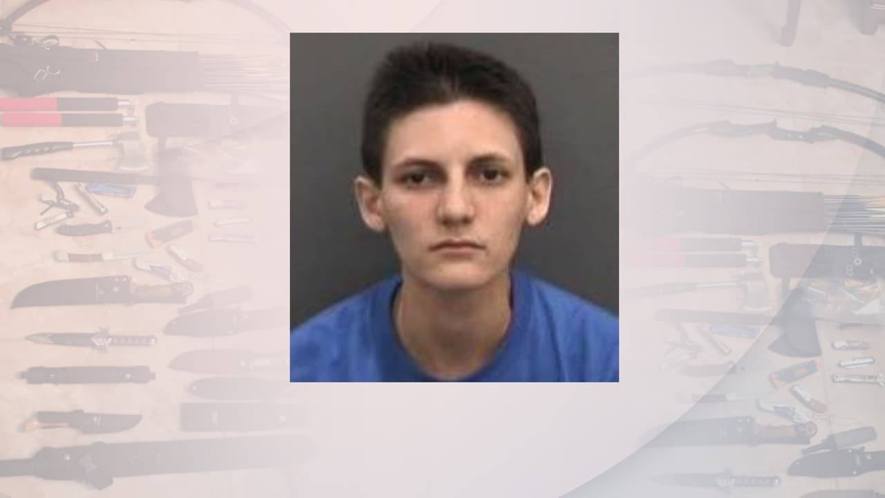 Al parecer, Kolts les comentó a las autoridades que estaba obsesionada con las matanzas de la secundaria Columbine, pero que no quería hacerle daño a nadie.