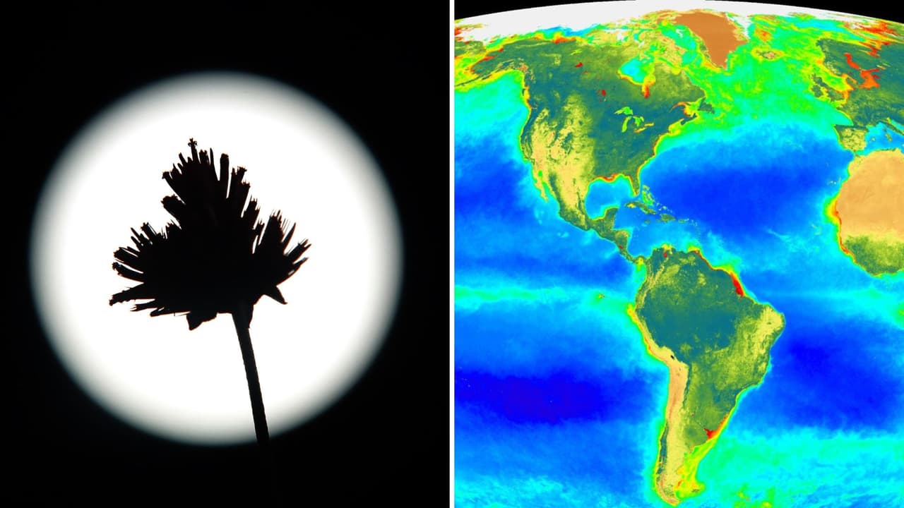Existen diferentes teorías sobre cómo se originó la vida en la Tierra.