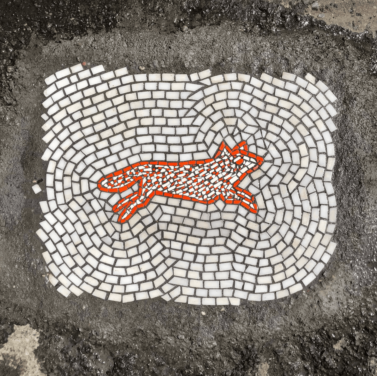 Nos platicó que todo comenzó en Europa: “Me enamoré de la historia antigua después de una visita a Europa a finales de los noventa” comentó.