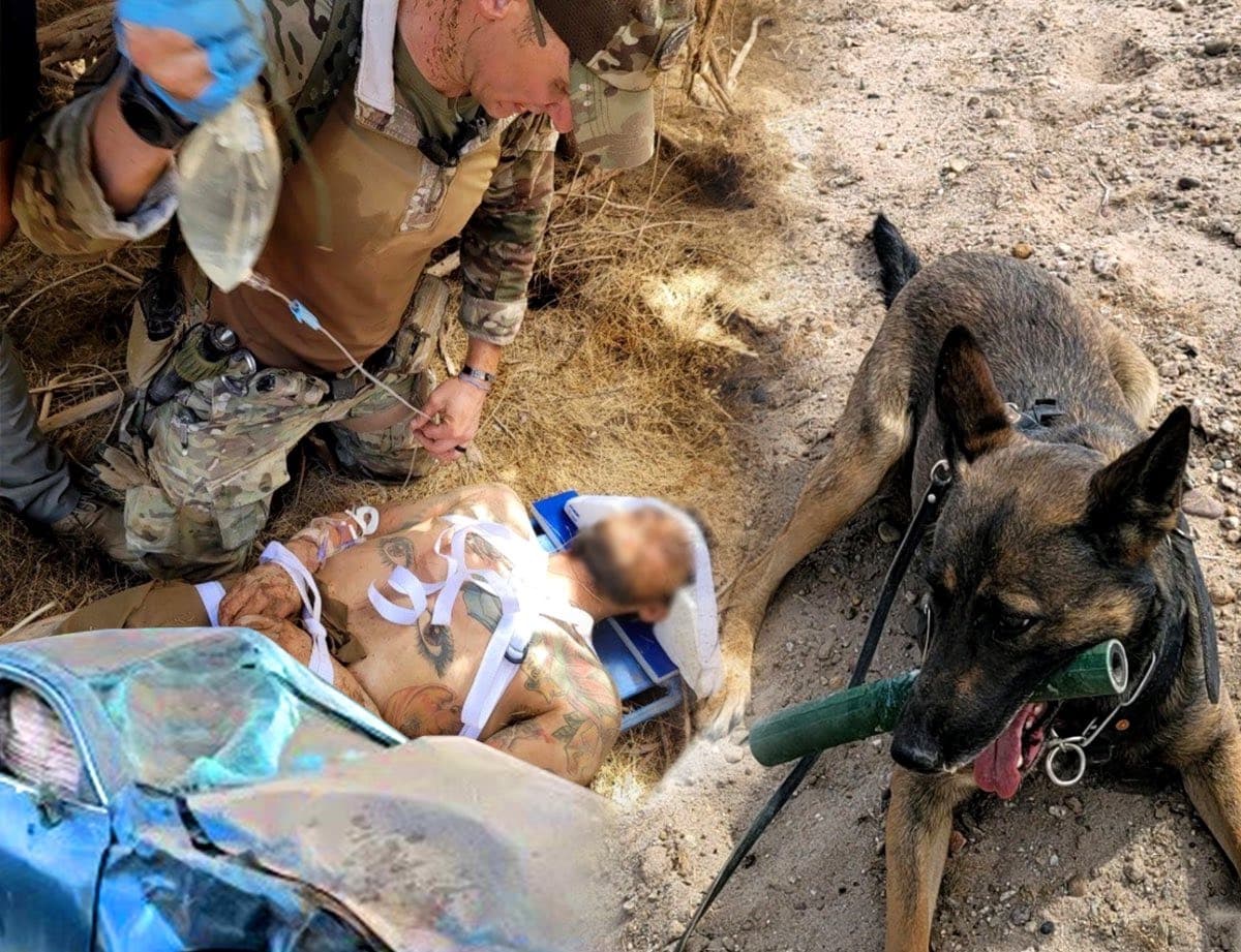 Este perro entrenado salvó la vida de un hombre el pasado miércoles por la tarde. Agentes de la Patrulla Fronteriza en Wellton, BORSTAR y oficiales de la Oficina del Sheriff del condado de Yuma trabajaron para encontrar a un hombre que destrozó su vehículo y se alejó de la escena del accidente. El accidente ocurrió aproximadamente a las 3:30 am cerca de Avenue 18E y County 5th Street en Dome Valley, y aunque el conductor llamó al 911 para pedir ayuda, estaba desorientado debido a las heridas que sufrió y abandonó su vehículo. Se registró el área circundante al accidente; sin embargo, no se pudo encontrar. El perro pudo rastrear al conductor hasta un área espesa de cedros salados aproximadamente a un cuarto de milla del lugar del accidente. El hombre no respondía y necesitaba atención médica crítica, los agentes tuvieron que usar un machete para cortar los árboles y llegar hasta él. El hombre fue tratado por deshidratación severa, lo estabilizaron y lo entregaron a los paramédicos de Tri Valley. Posteriormente fue transportado al Centro Médico Regional de Yuma para recibir atención avanzada.