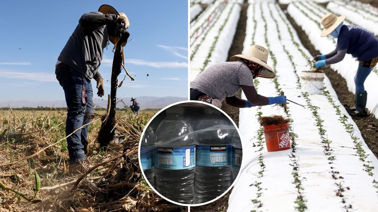 Estos son tus derechos laborales si trabajas bajo el sol en California, según la ley