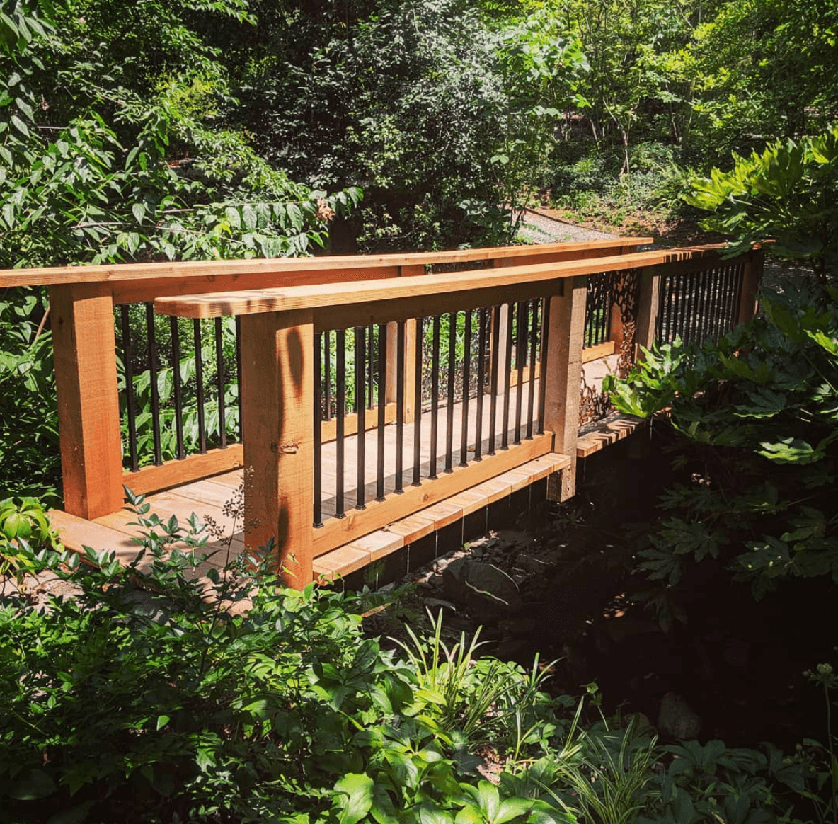 La Universidad de Carolina del Norte en Charlotte cuenta con un jardín botánico al cuidado de sus estudiantes. Aseguran que "compartir el mundo de las plantas con las personas fuera de la academia" es su inspiración. Ofrecen clases, certificados, tours y otras actividades para quienes buscan aprender sobre el cuidado de las plantas. Dirección: 9090 Craver Rd, Charlotte, NC 28262.